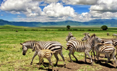 2- Days -Tarangire -and- Ngorongoro- Crater