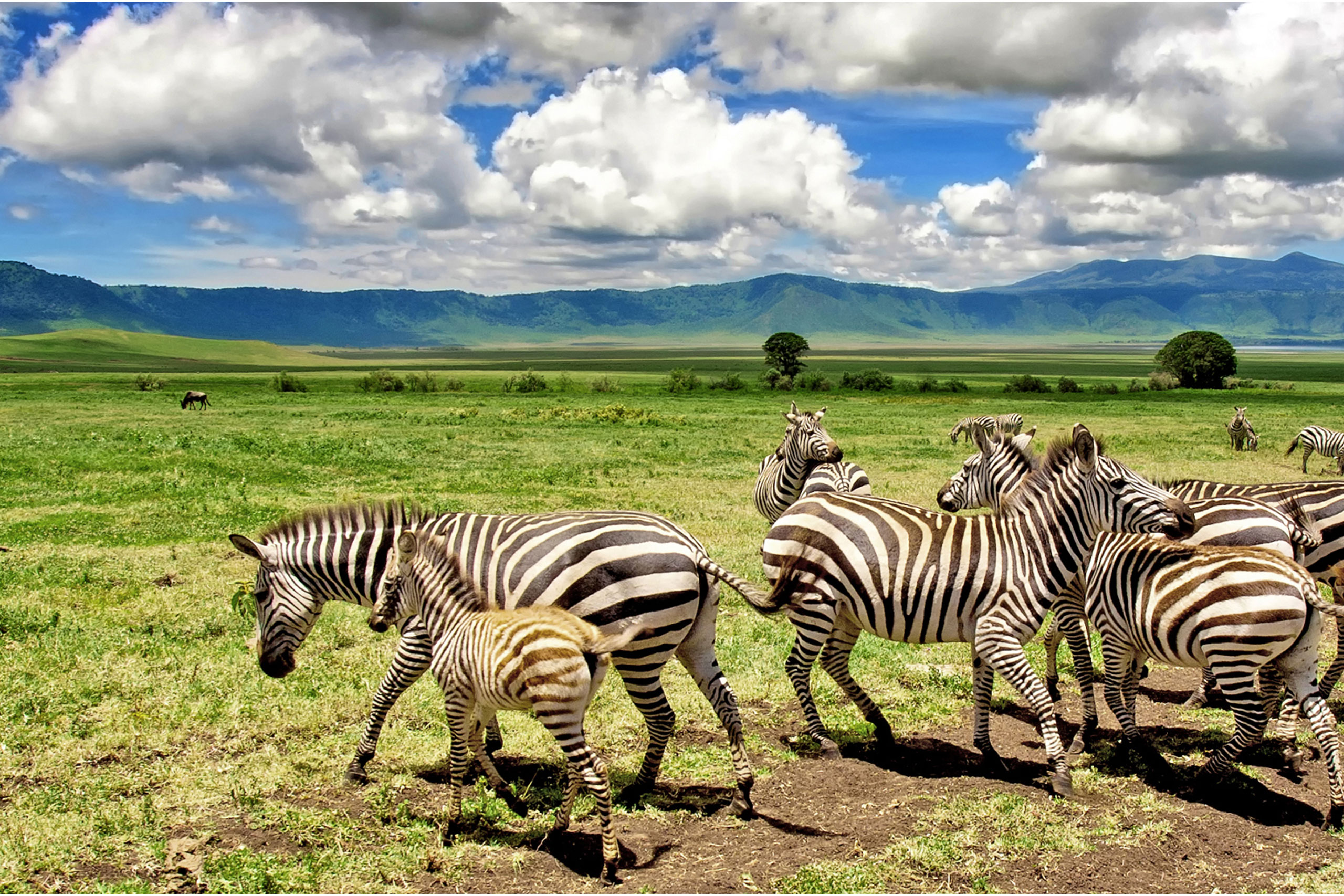 2- Days -Tarangire -and- Ngorongoro- Crater