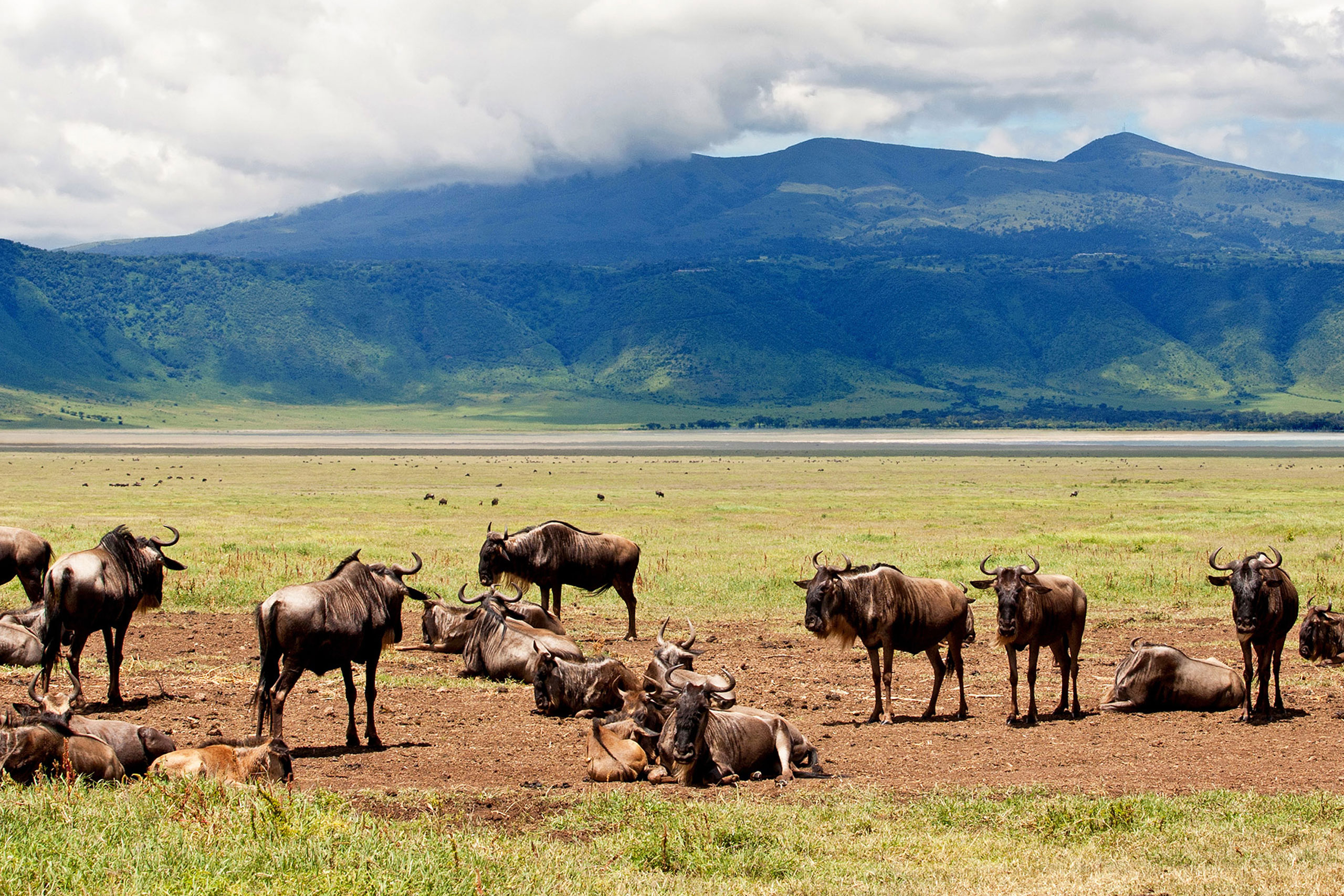 2- Days -Tarangire- and -Ngorongoro -Crater