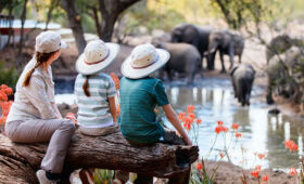 7-days-Family-Safari-in-Tanzania
