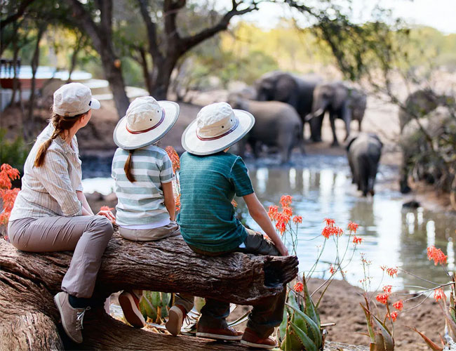 7-days-Family-Safari-in-Tanzania