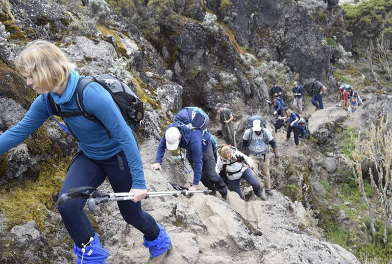 How Fit Do You Need to Be to Climb Kilimanjaro?