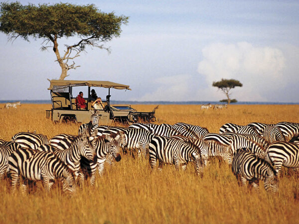 Discover-Kenya-with-Mandari-Travel