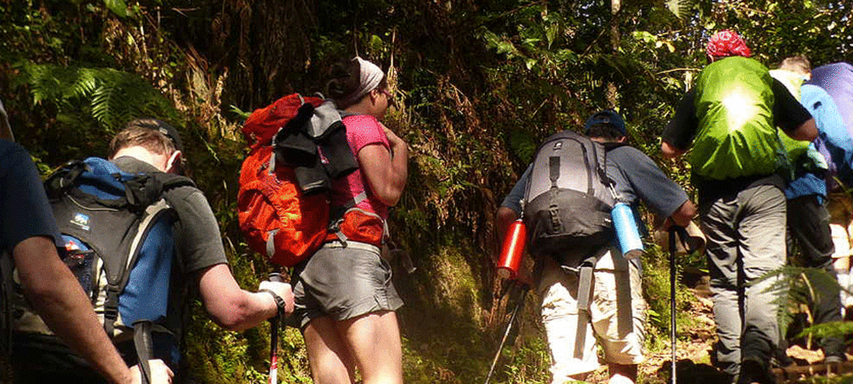Eco-Friendly Kilimanjaro Climb Tips
