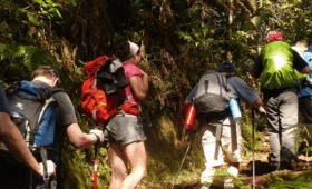 Eco-Friendly Kilimanjaro Climb Tips