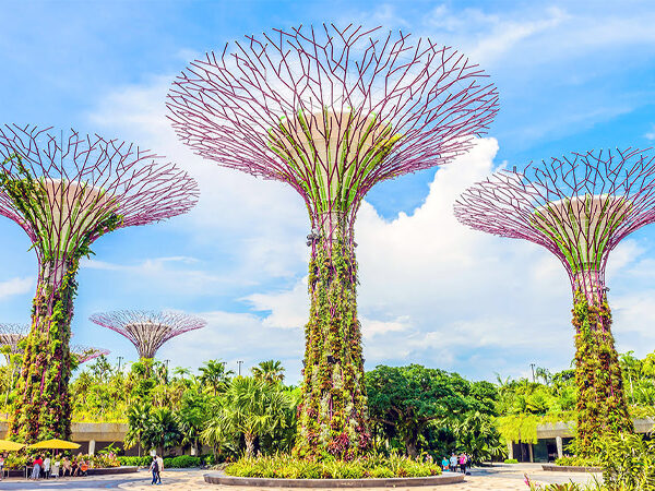 Explore-Singapore-with-Mandari-Travel