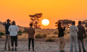 Group-Safari-vs-Private-Safari-in-Tanzania-What’s-Right-for-You