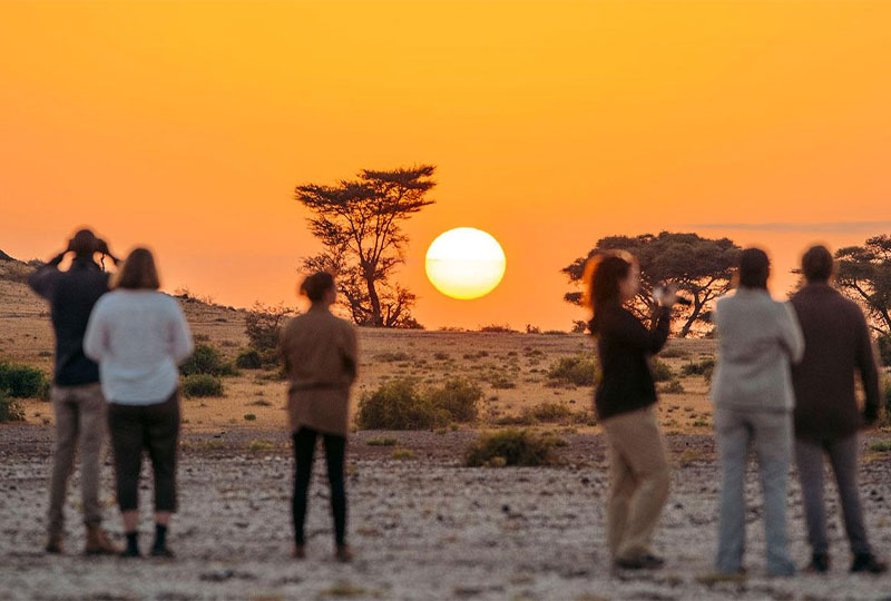 Group-Safari-vs-Private-Safari-in-Tanzania-What’s-Right-for-You