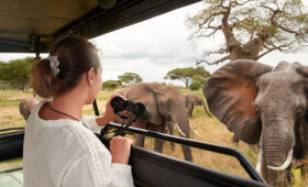 How-to-Book-a-Tanzania-Safari-from-the-US-or-Europe