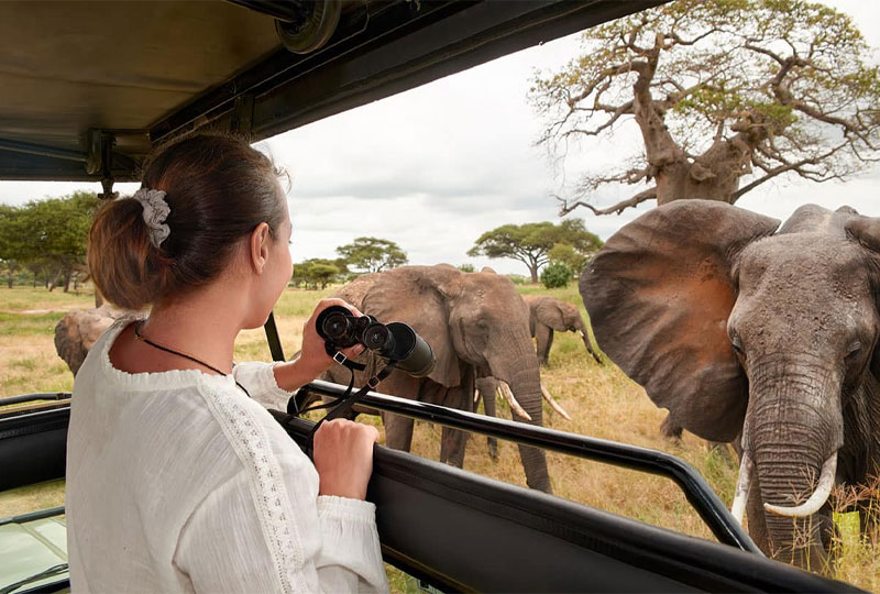 How-to-Book-a-Tanzania-Safari-from-the-US-or-Europe