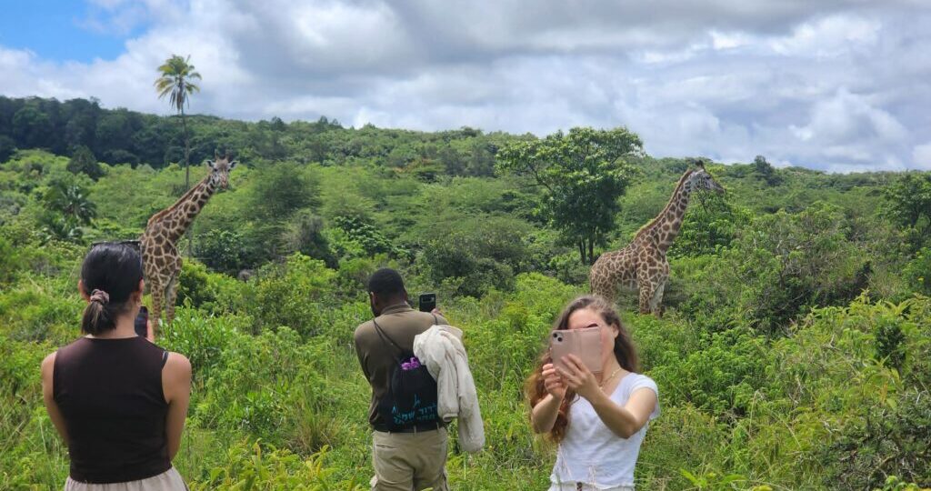 How to Combine Kilimanjaro and Safari in One Trip