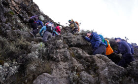 Kilimanjaro Climb for Beginners: What to Expect