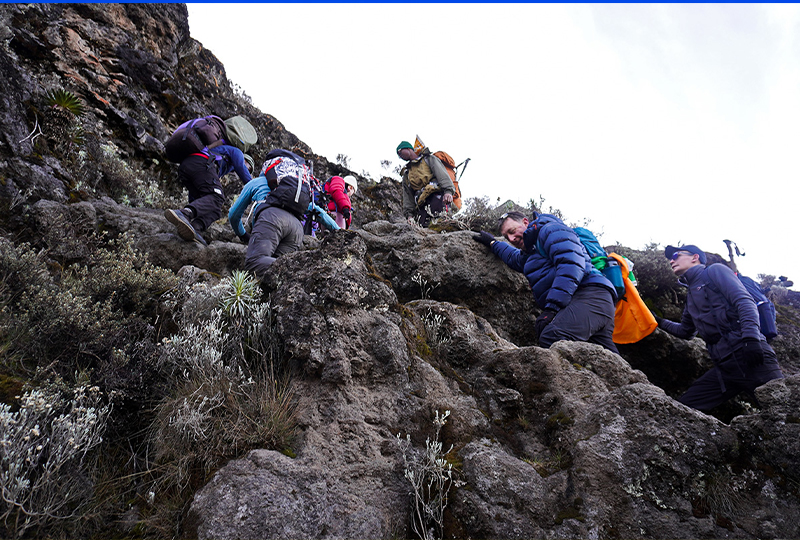 Kilimanjaro Climb for Beginners: What to Expect