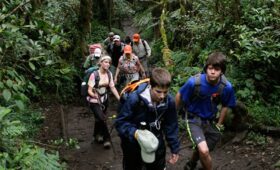 Kilimanjaro Day Hikes: Options Without Summit