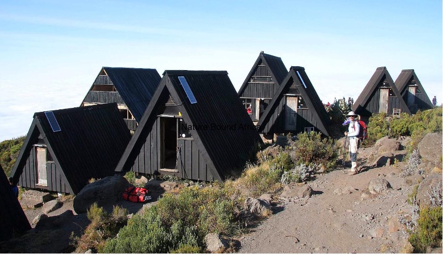 Luxury Kilimanjaro Climbs: Comfort on the Mountain
