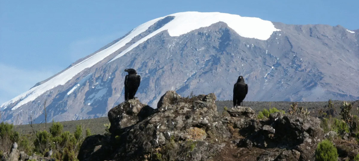 Mount Kilimanjaro Myths & Legends