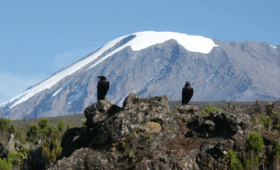 Mount Kilimanjaro Myths & Legends