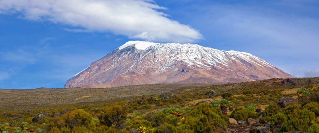 Mount Kilimanjaro for Over 50s: Can You Do It?
