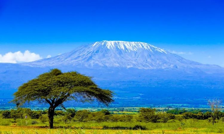 How Much Does It Cost to Climb Kilimanjaro