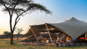 Off-Grid-Safari-Destinations-in-Tanzania