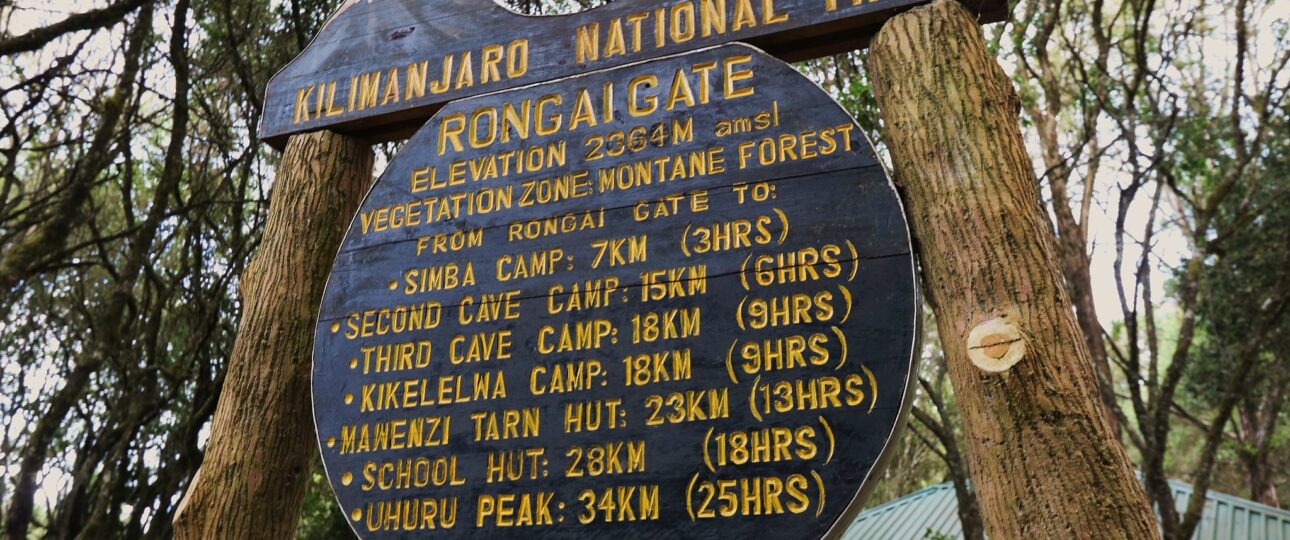 Rongai Route Guide: Climbing Kilimanjaro from the North