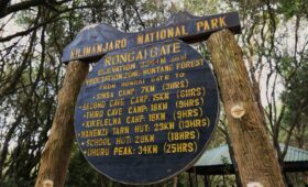 Rongai Route Guide: Climbing Kilimanjaro from the North