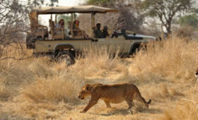 Ruaha-National-Park-Safari-Lions-&-Exclusive-Wilderness