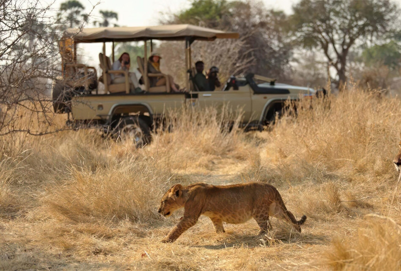 Ruaha-National-Park-Safari-Lions-&-Exclusive-Wilderness