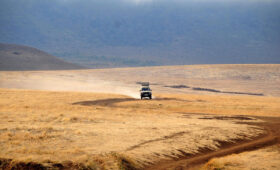 Self-Drive-Safaris-in-Tanzania-Worth-the-Risk