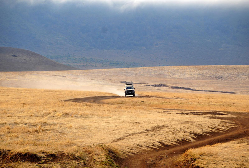 Self-Drive-Safaris-in-Tanzania-Worth-the-Risk