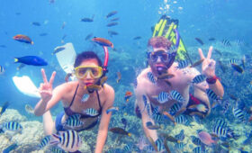 Snorkeling and Diving in Zanzibar: Best Spots