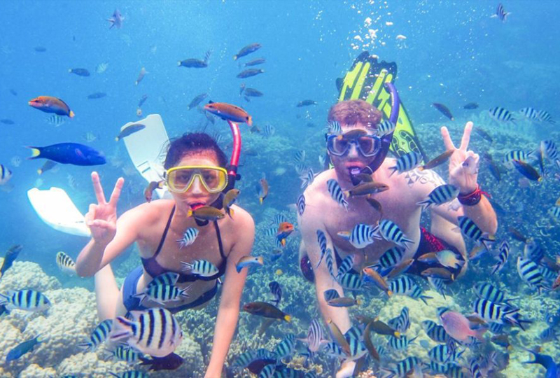 Snorkeling and Diving in Zanzibar: Best Spots