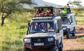 Tanzania Destination