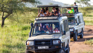 Tanzania Destination