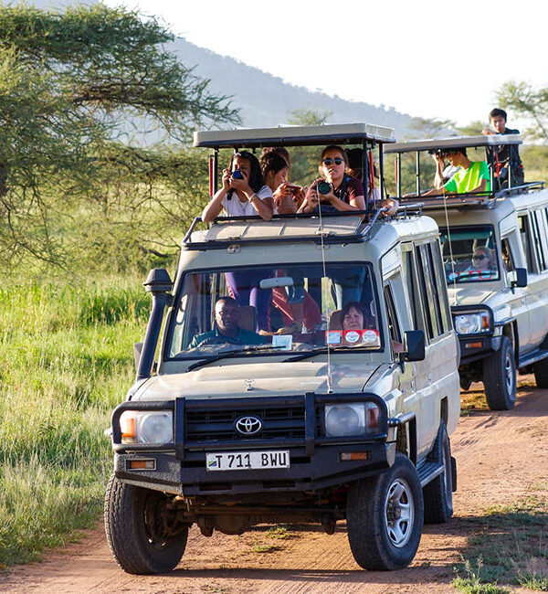 Tanzania Destination