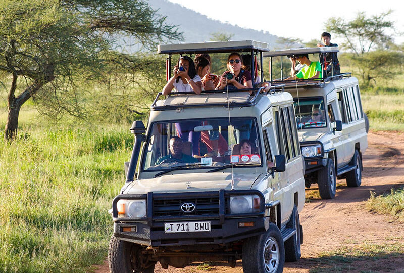 Tanzania Destination