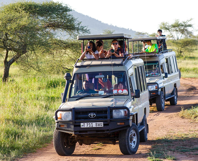 Tanzania Destination