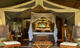 Tanzania-Safari-Accommodation-Tent-vs-Lodge-Comparison