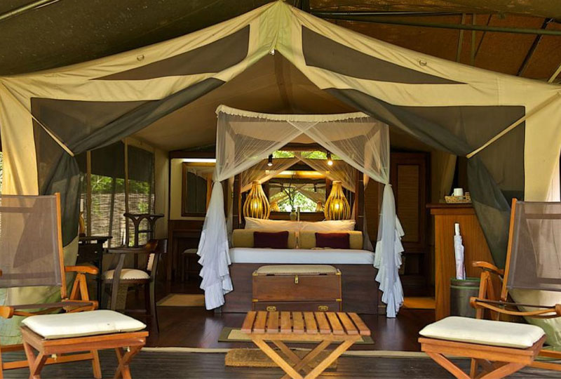 Tanzania-Safari-Accommodation-Tent-vs-Lodge-Comparison