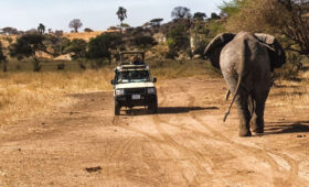 Tanzania-Safari-Booking-Tips-Tours,-Permits-&-Vehicles