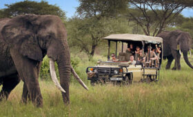 Tanzania-Safari-Conservation-Support-Wildlife-and-Communities