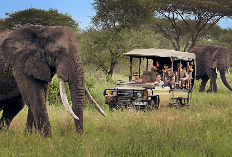 Tanzania-Safari-Conservation-Support-Wildlife-and-Communities