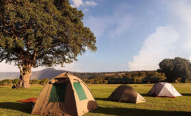 Tanzania-Safari-Cost-Guide-What-You’ll-Actually-Pay