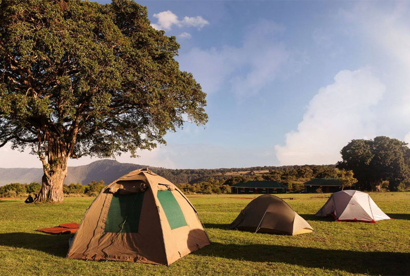 Tanzania-Safari-Cost-Guide-What-You’ll-Actually-Pay