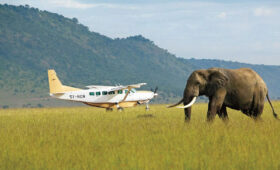 Tanzania-Safari-Fly-In-Save-Time-with-Bush-Flights