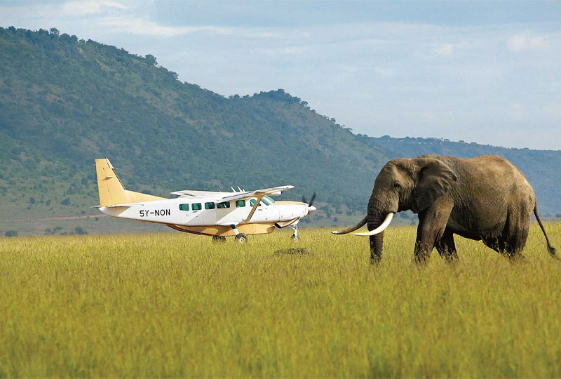Tanzania-Safari-Fly-In-Save-Time-with-Bush-Flights