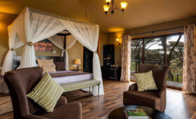 Tanzania-Safari-Guide-From-Lodge-to-Pop-Up-Camps