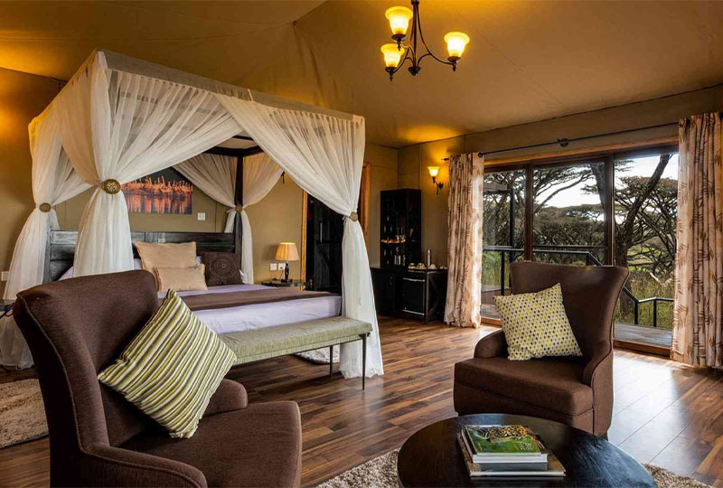 Tanzania-Safari-Guide-From-Lodge-to-Pop-Up-Camps