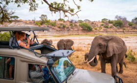 Tanzania-Safari-Itinerary-7-Days-from-Arusha-to-Serengeti