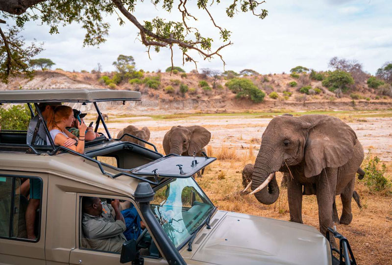 Tanzania-Safari-Itinerary-7-Days-from-Arusha-to-Serengeti
